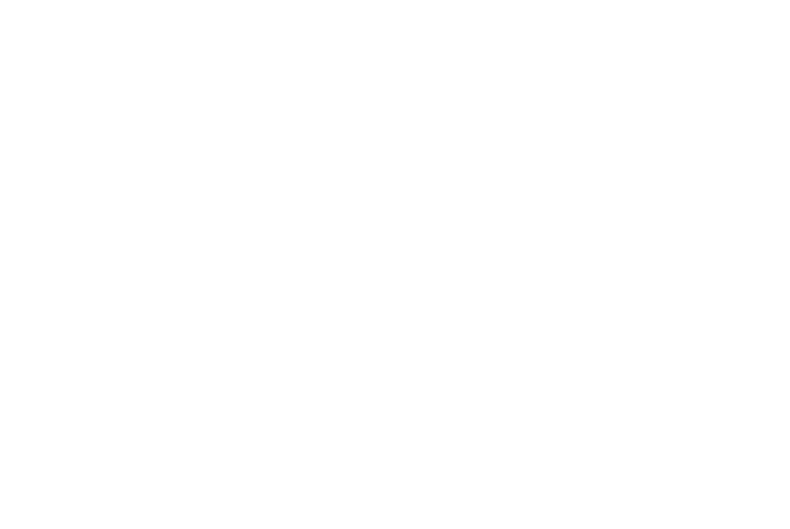 Anno1982 logo wit